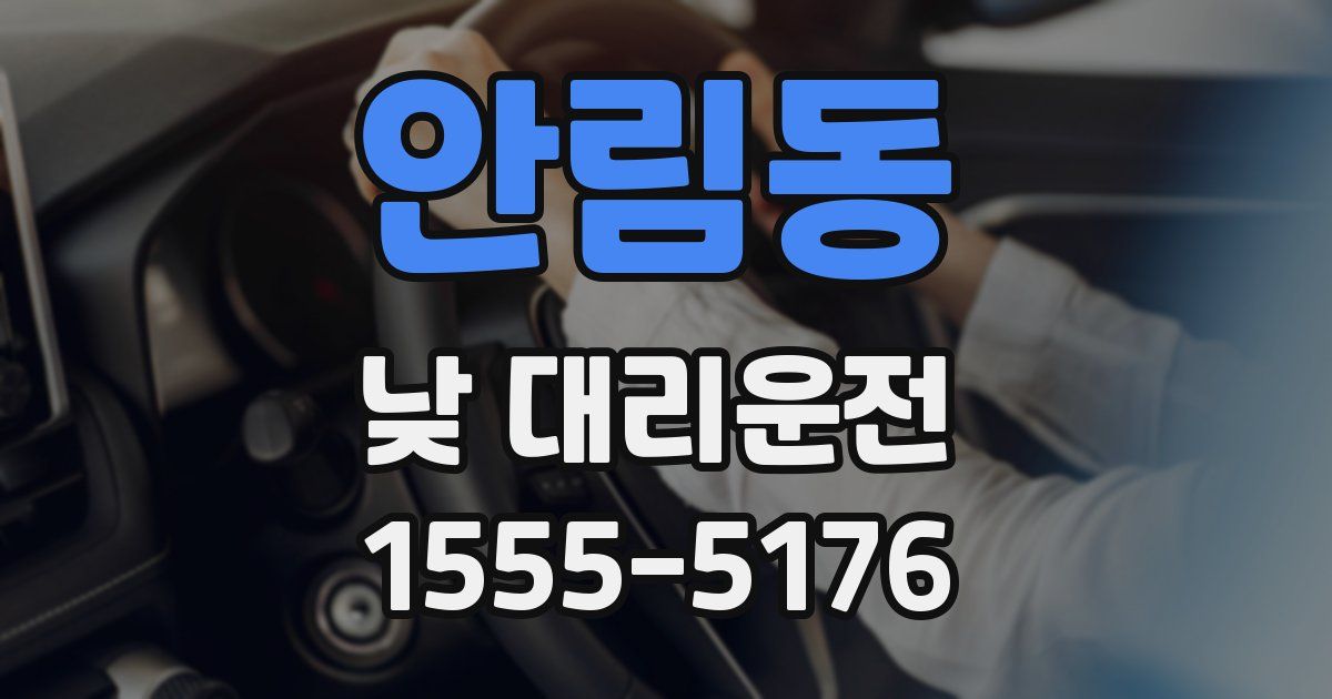 안림동 낮 대리운전