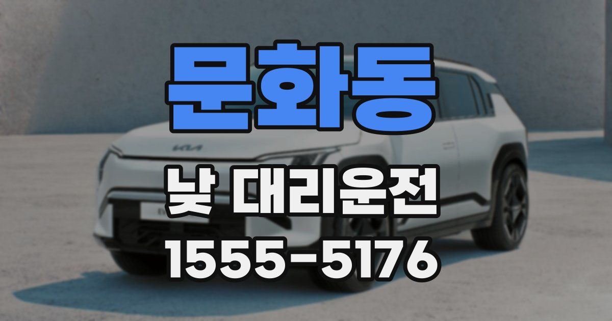 문화동 낮 대리운전
