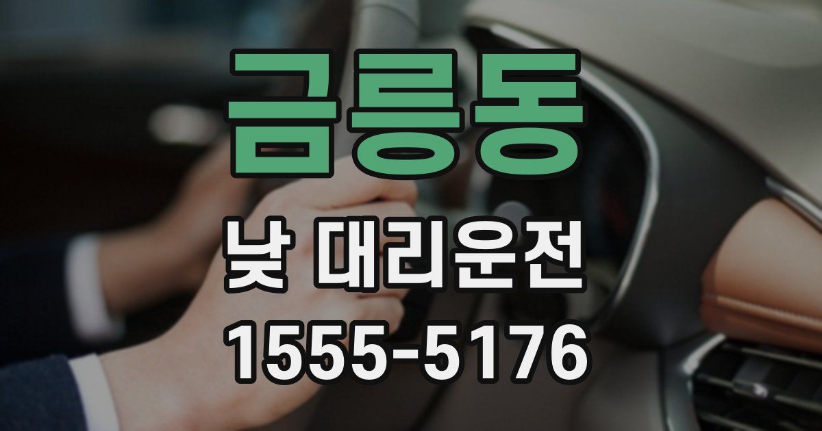 금릉동 낮 대리운전