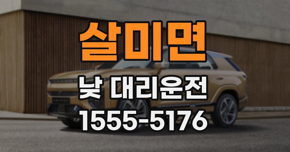 살미면 낮 대리운전