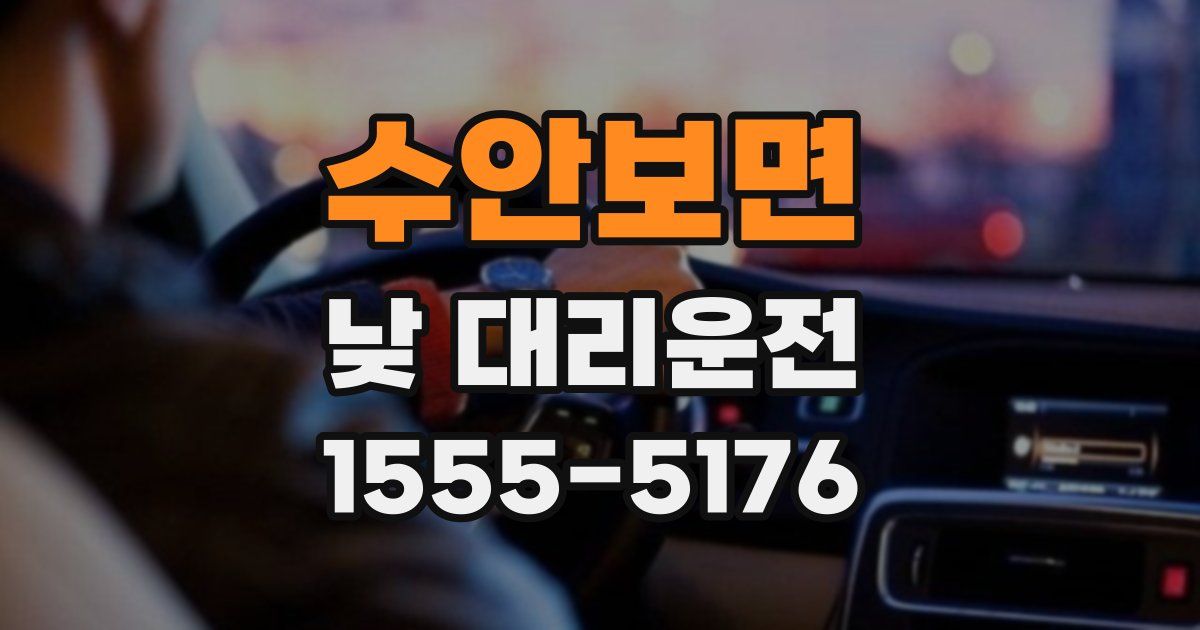 수안보면 낮 대리운전