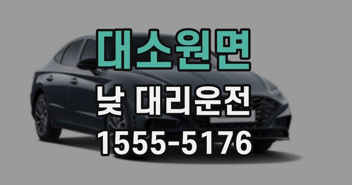 대소원면 낮 대리운전