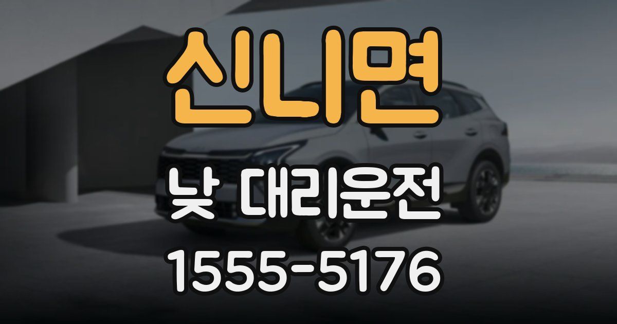 신니면 낮 대리운전