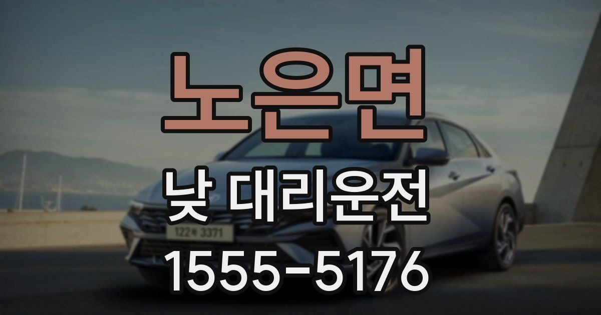 노은면 낮 대리운전