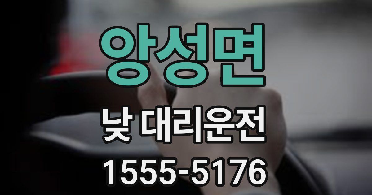 앙성면 낮 대리운전