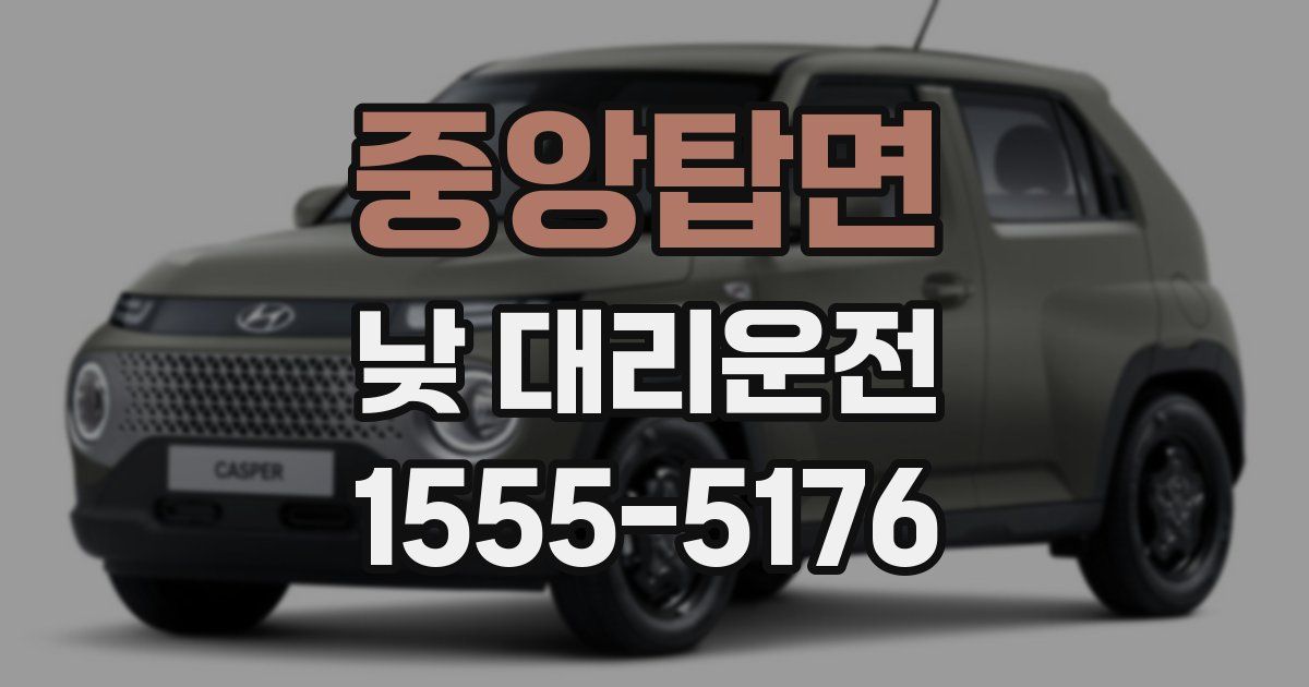 중앙탑면 낮 대리운전