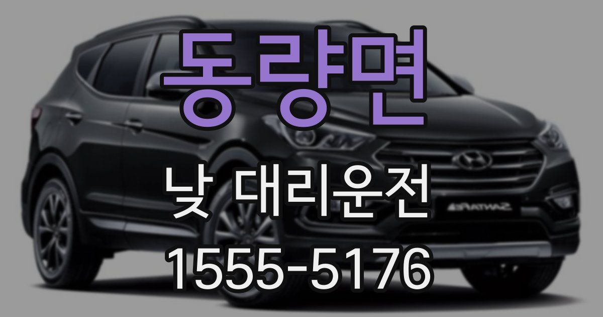 동량면 낮 대리운전