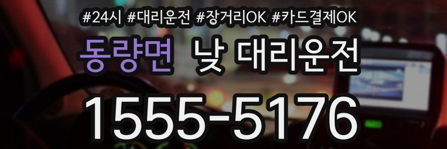 동량면 낮 대리운전