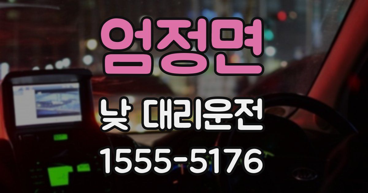 엄정면 낮 대리운전