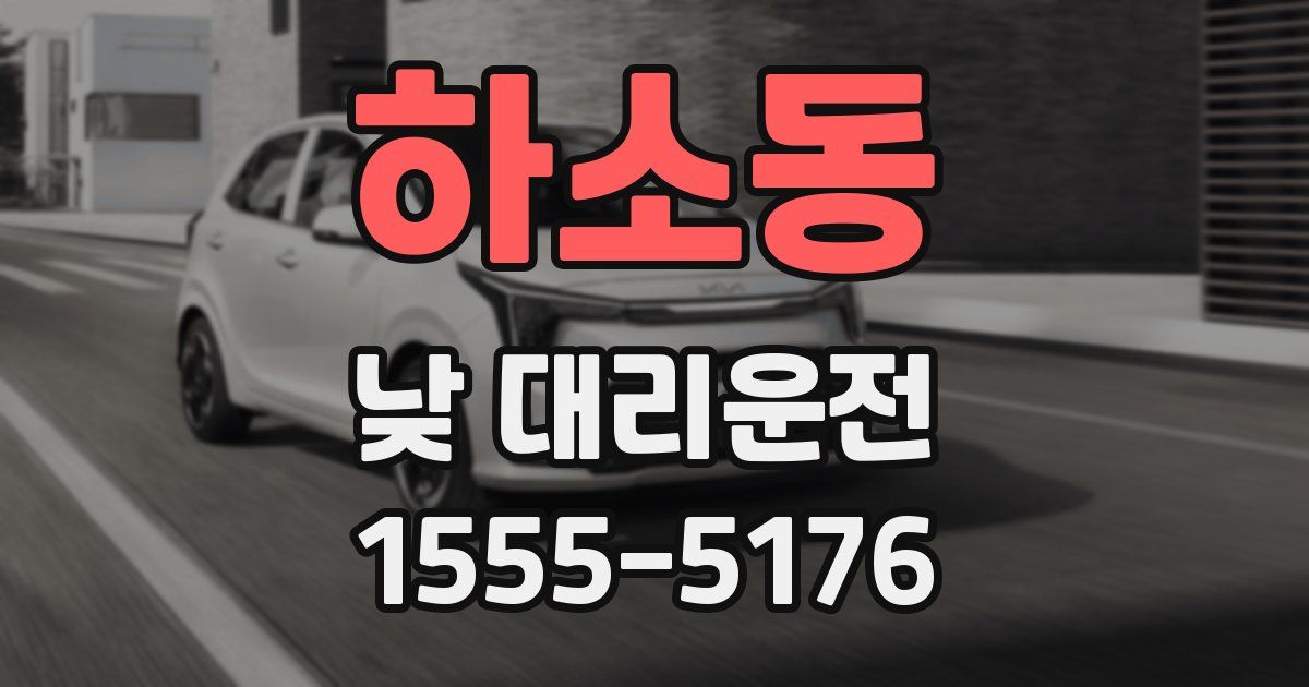 하소동 낮 대리운전