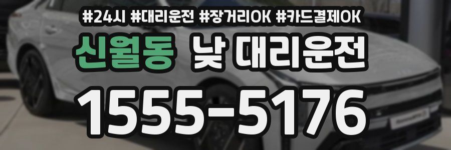 신월동 낮 대리운전