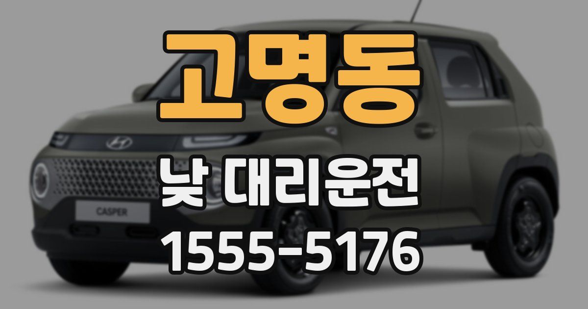 고명동 낮 대리운전