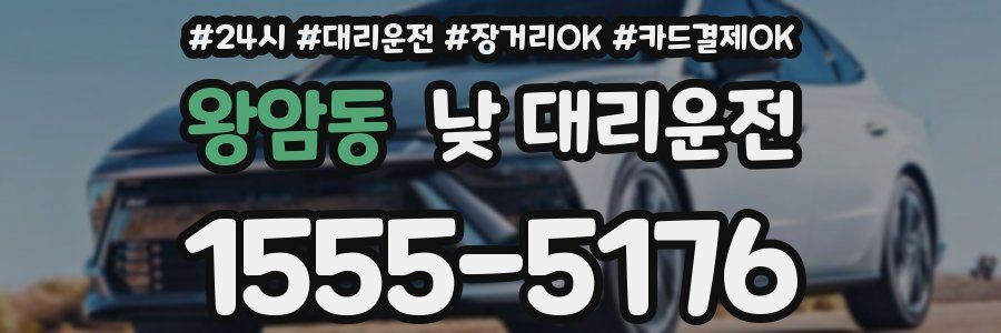 왕암동 낮 대리운전