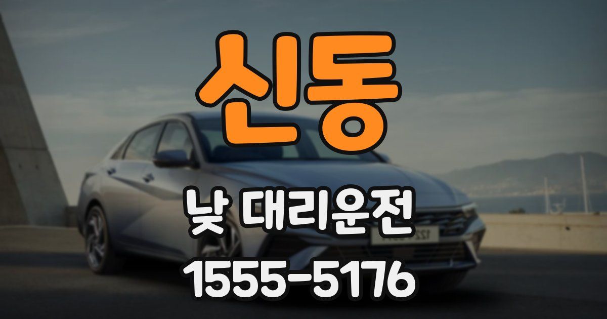 신동 낮 대리운전