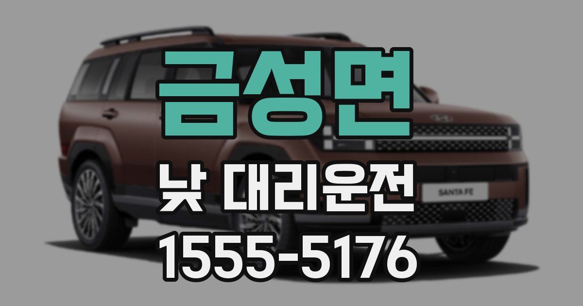 금성면 낮 대리운전