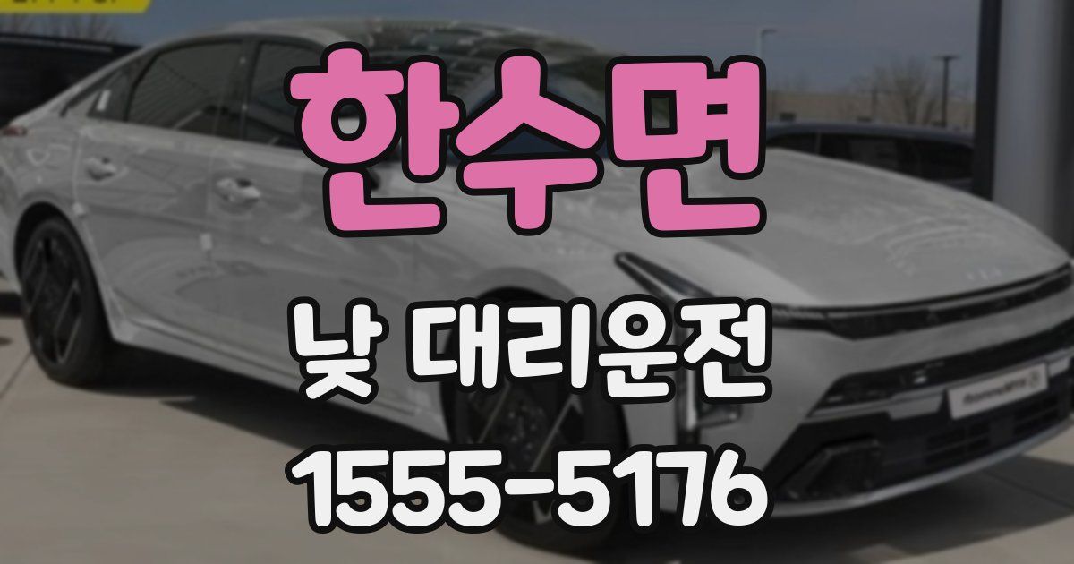 한수면 낮 대리운전