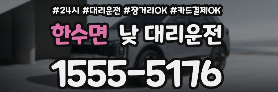한수면 낮 대리운전