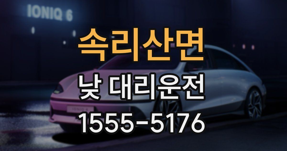 속리산면 낮 대리운전