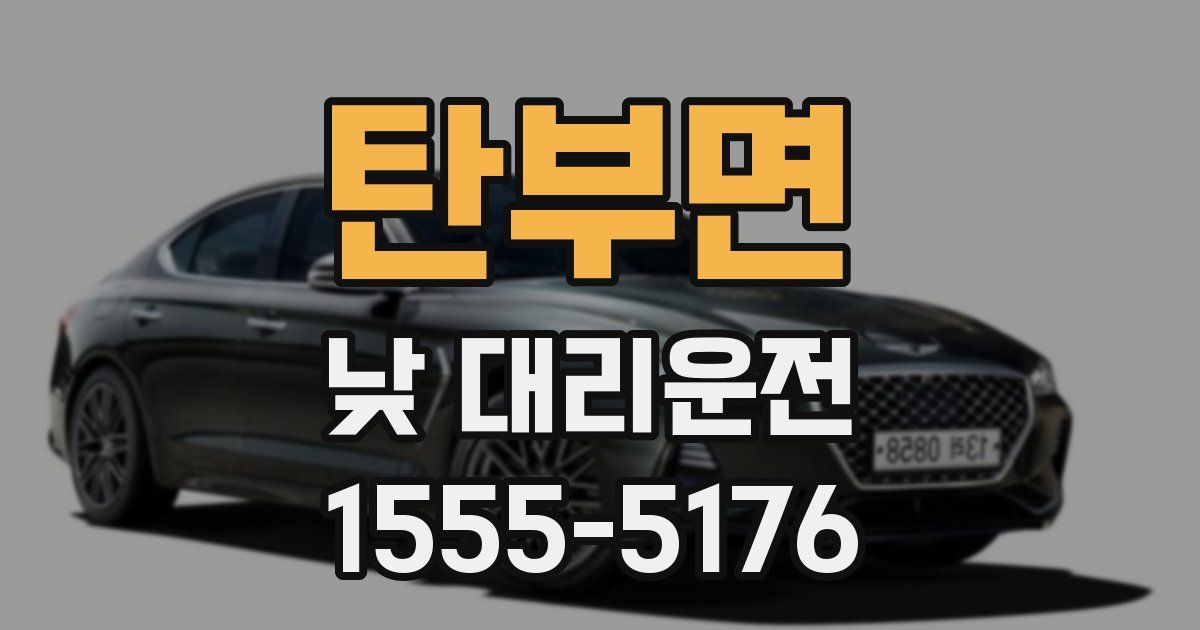 탄부면 낮 대리운전
