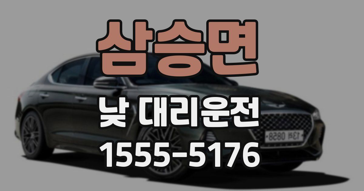 삼승면 낮 대리운전