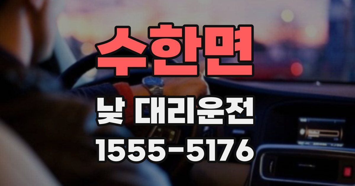 수한면 낮 대리운전