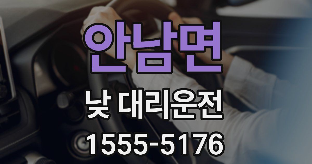 안남면 낮 대리운전