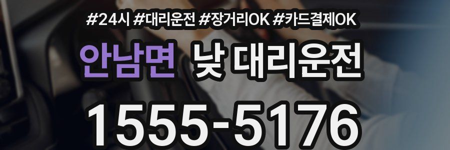 안남면 낮 대리운전