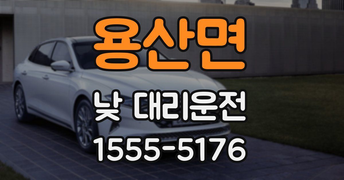 용산면 낮 대리운전