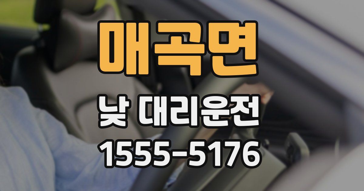 매곡면 낮 대리운전