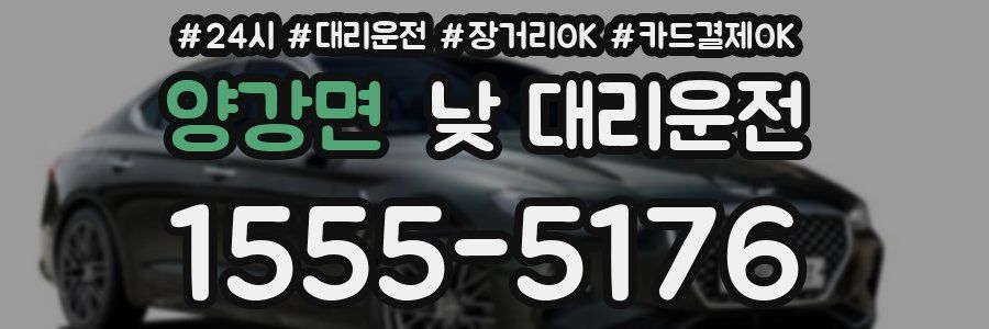 양강면 낮 대리운전