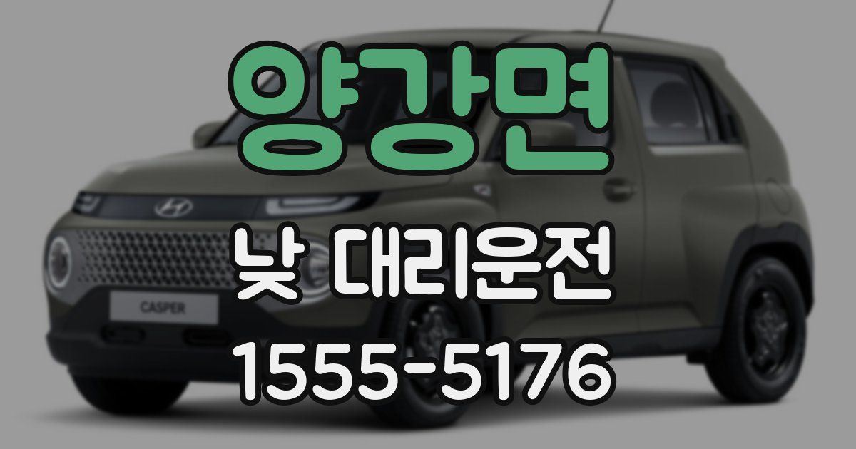 양강면 낮 대리운전