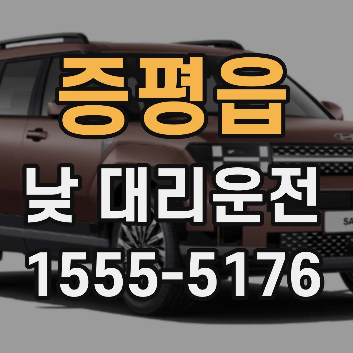 증평읍 낮 대리운전
