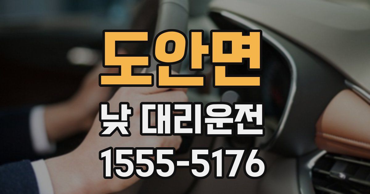 도안면 낮 대리운전