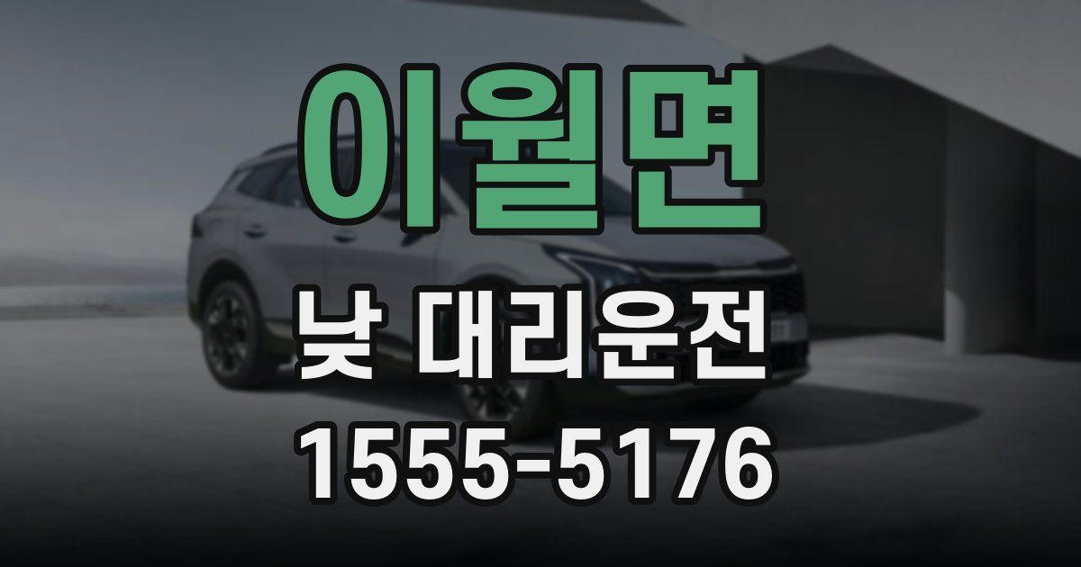 이월면 낮 대리운전