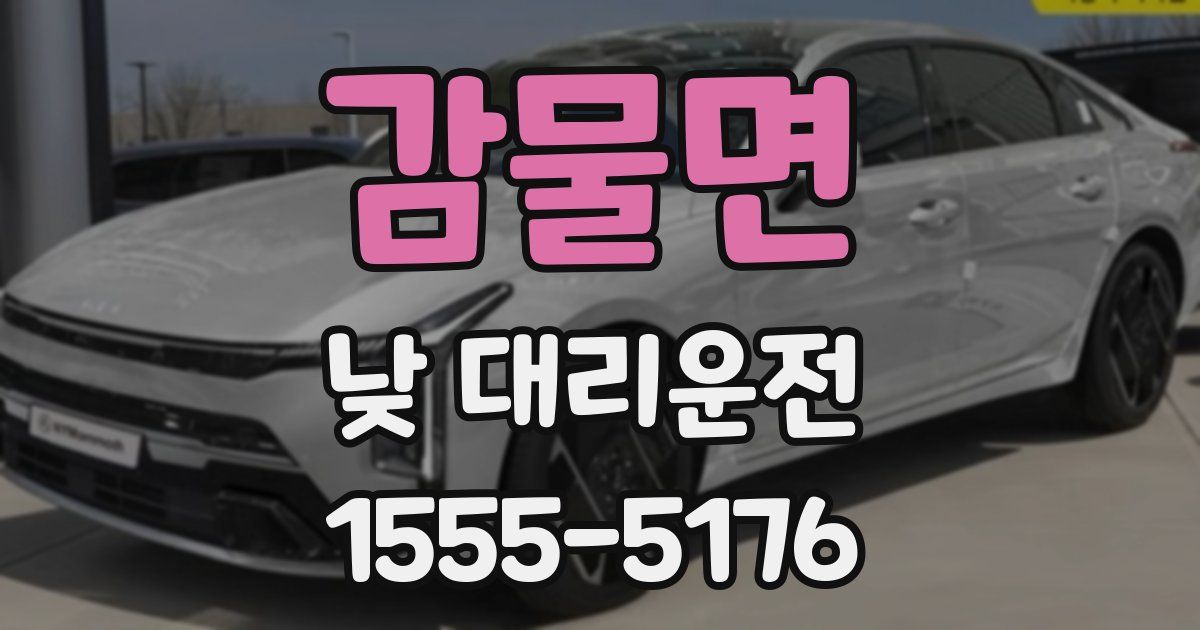 감물면 낮 대리운전