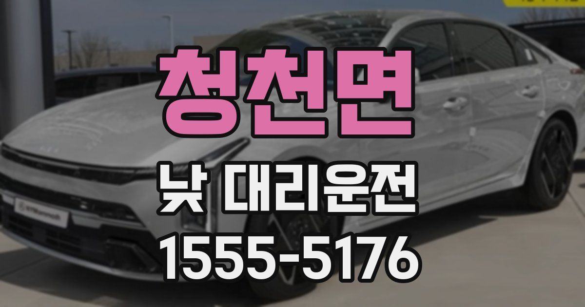 청천면 낮 대리운전