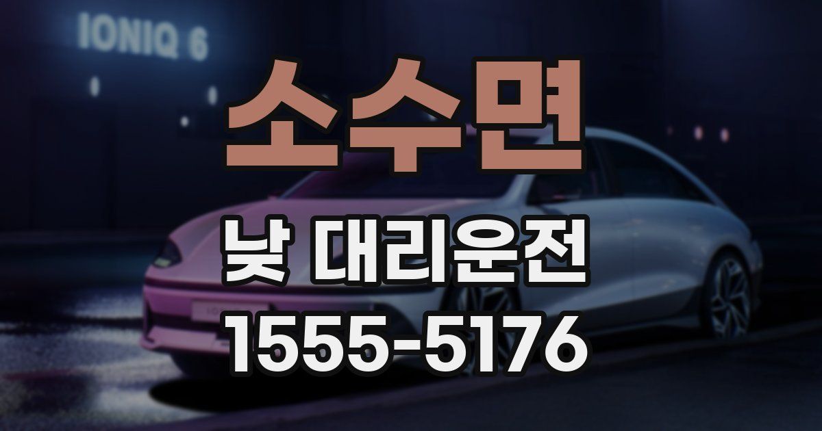 소수면 낮 대리운전