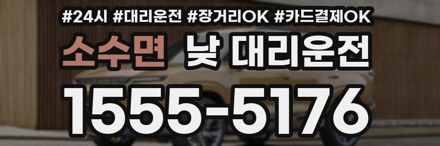 소수면 낮 대리운전
