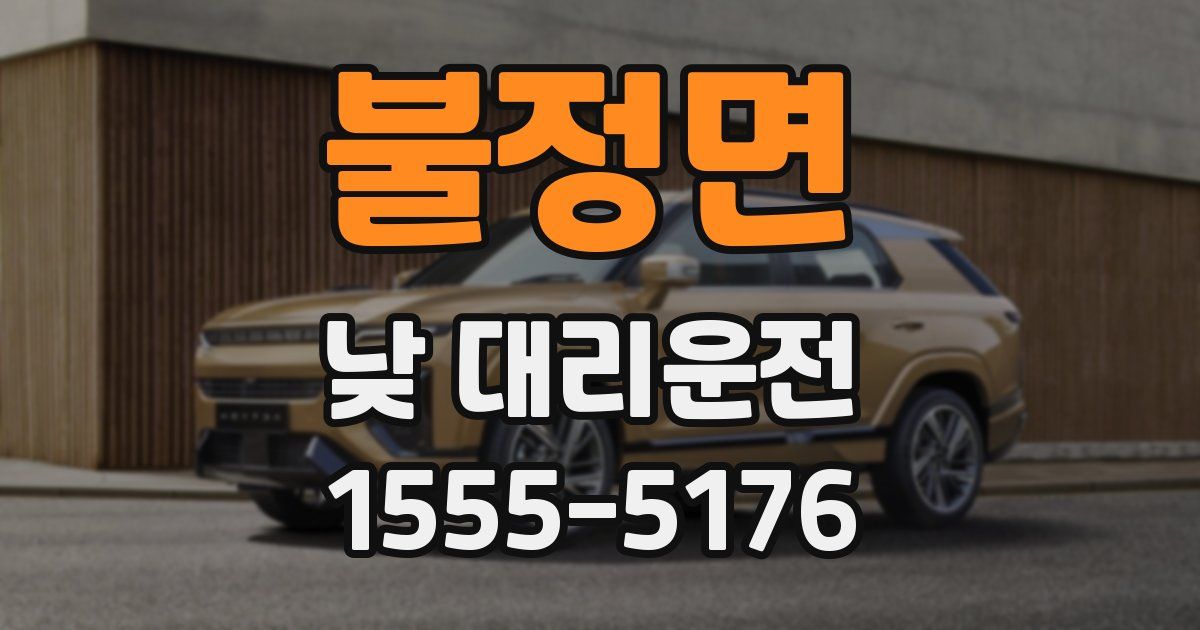 불정면 낮 대리운전