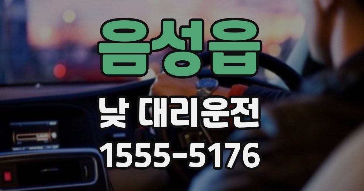 음성읍 낮 대리운전