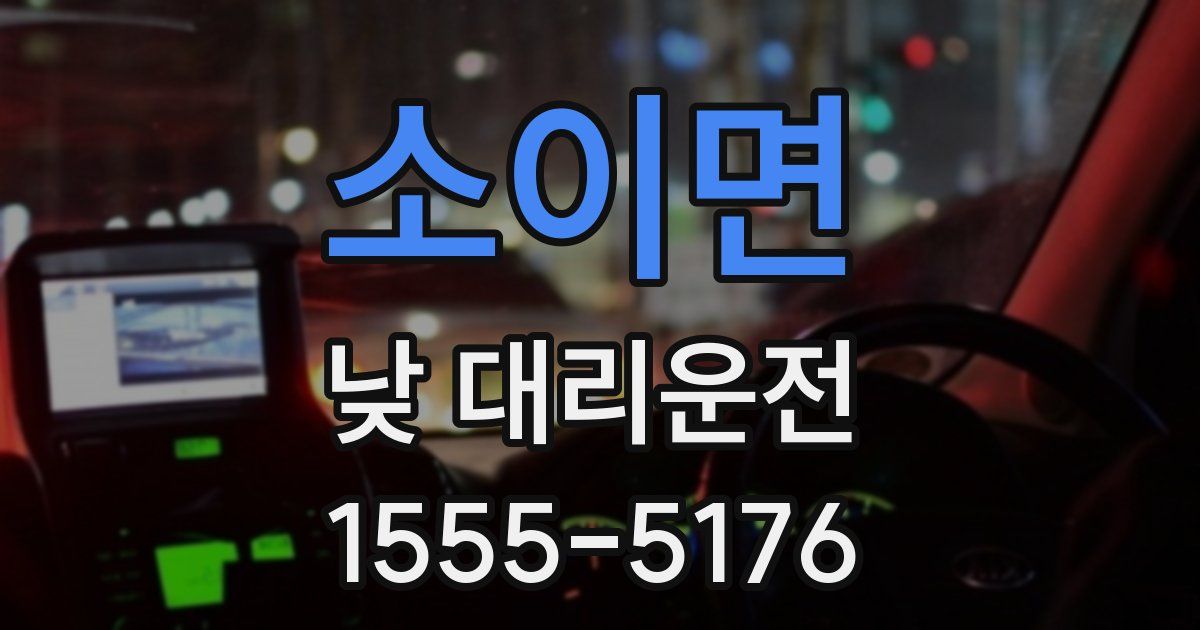 소이면 낮 대리운전