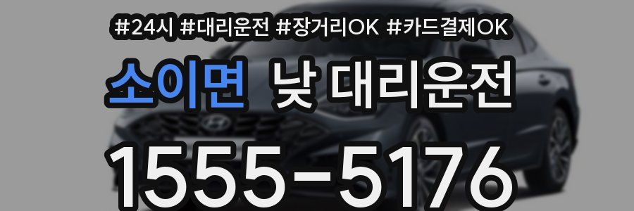 소이면 낮 대리운전