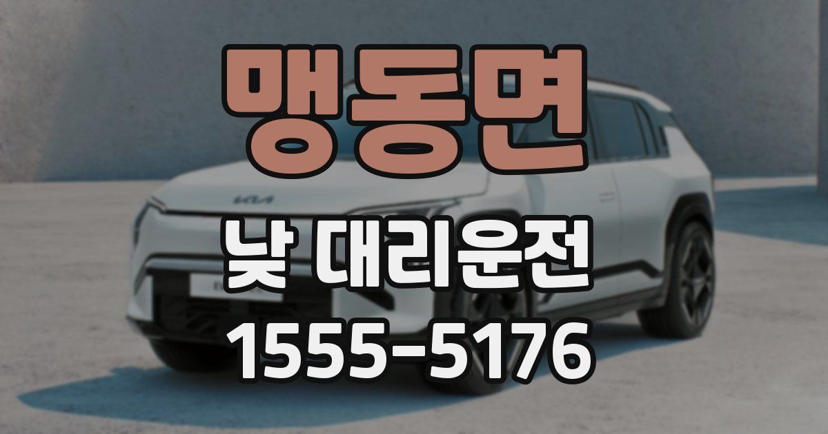 맹동면 낮 대리운전
