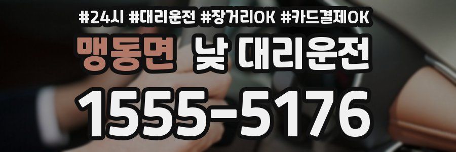 맹동면 낮 대리운전