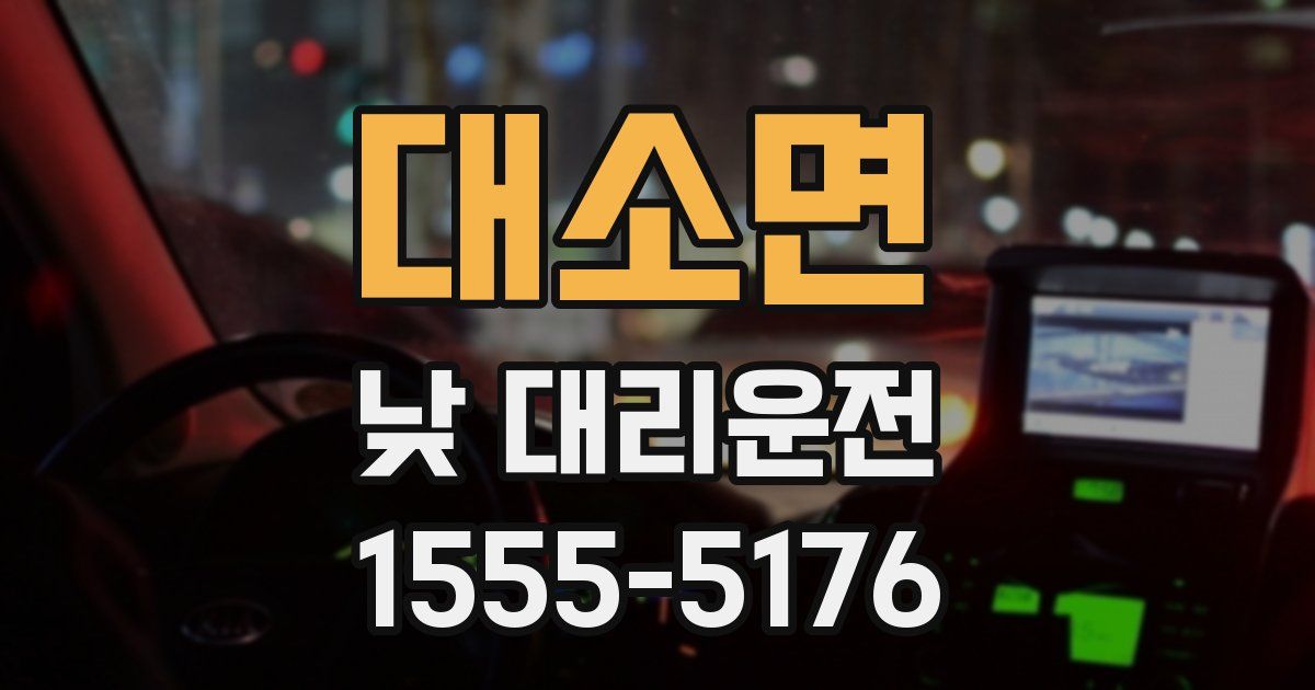 대소면 낮 대리운전