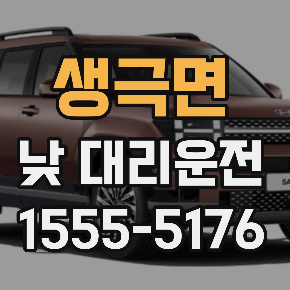 생극면 낮 대리운전