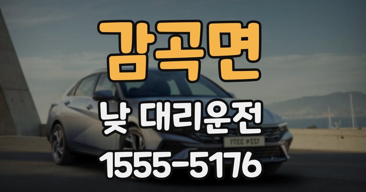 감곡면 낮 대리운전