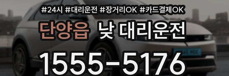 단양읍 낮 대리운전