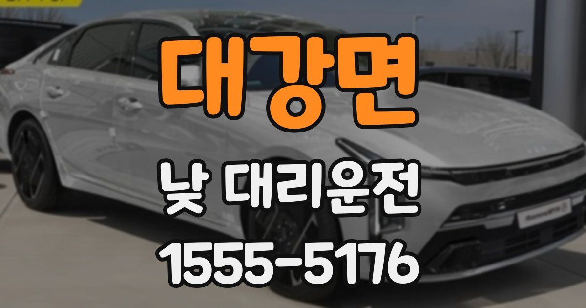대강면 낮 대리운전