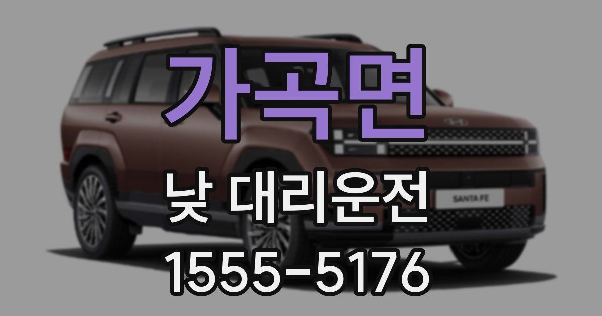 가곡면 낮 대리운전